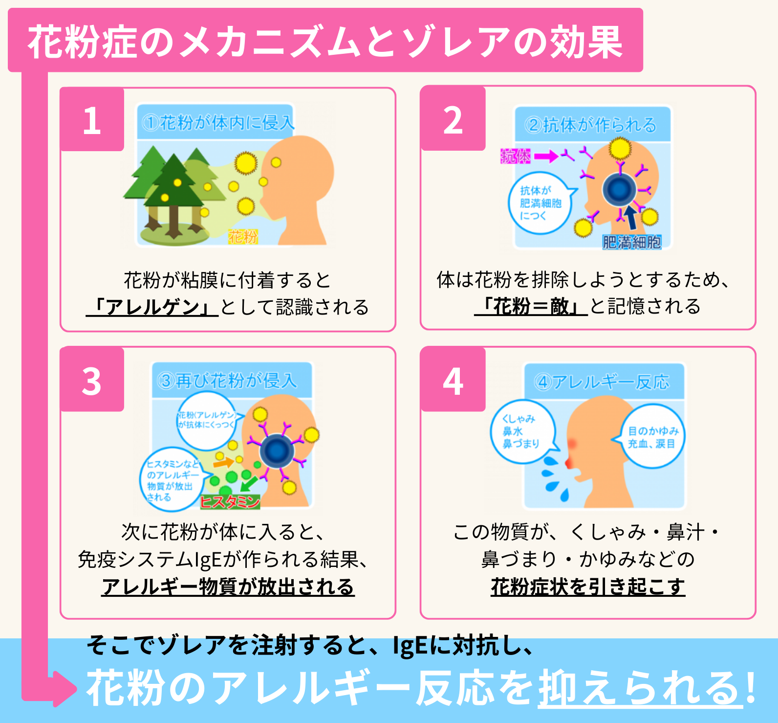 1回で効果を実感！重度花粉に効くゾレア注射